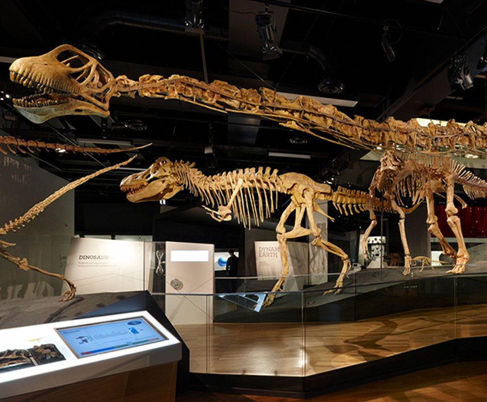Attraction 1: Melbourne Museum